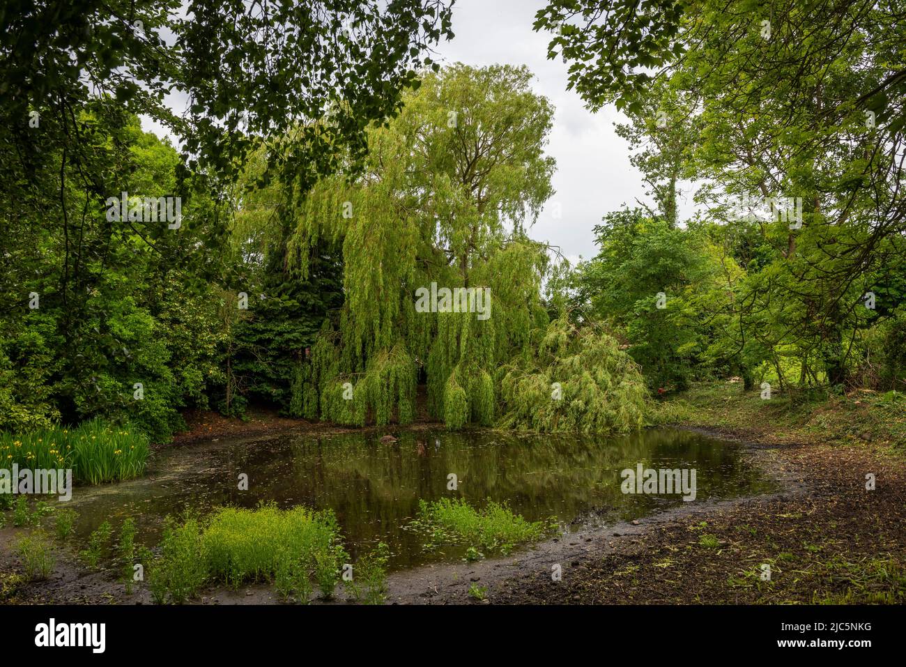 El estanque del pueblo o 'Mere' en Etton, Beverley, East Riding de Yorkshire, Reino Unido Foto de stock