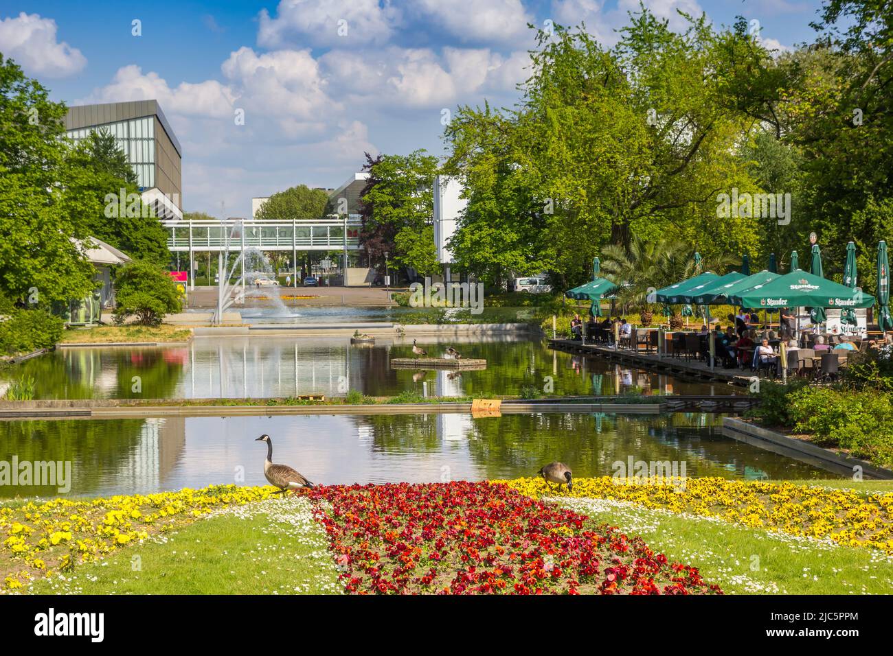 Flores en el lago del parque Gruga en Essen, Alemania Foto de stock