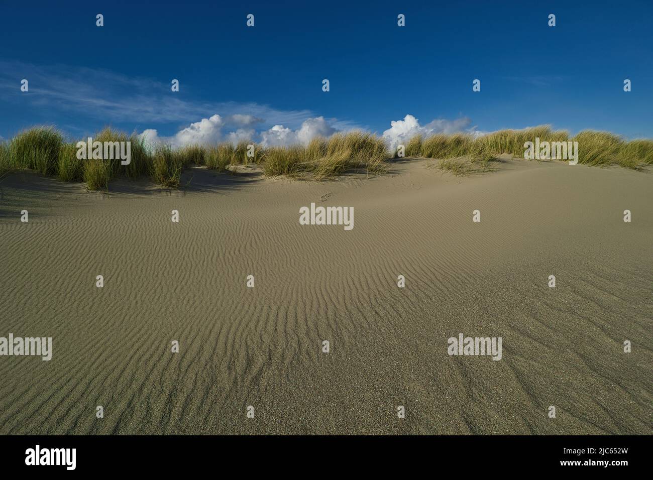 El patrón creado por el viento en la arena de una duna en el Mar del Norte Foto de stock
