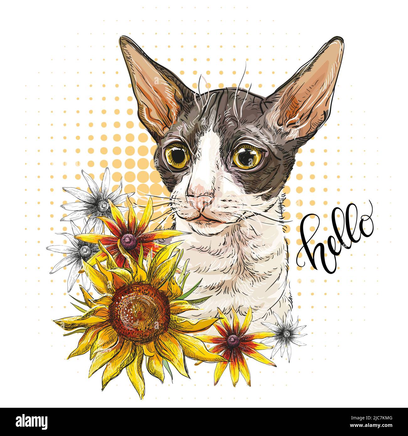 Cabeza de gato en girasoles. Hola letra cita. Estampado de estilo dibujado  a mano. Ilustración vectorial aislada sobre fondo blanco. Composición de la  camiseta, estampado, d Imagen Vector de stock - Alamy