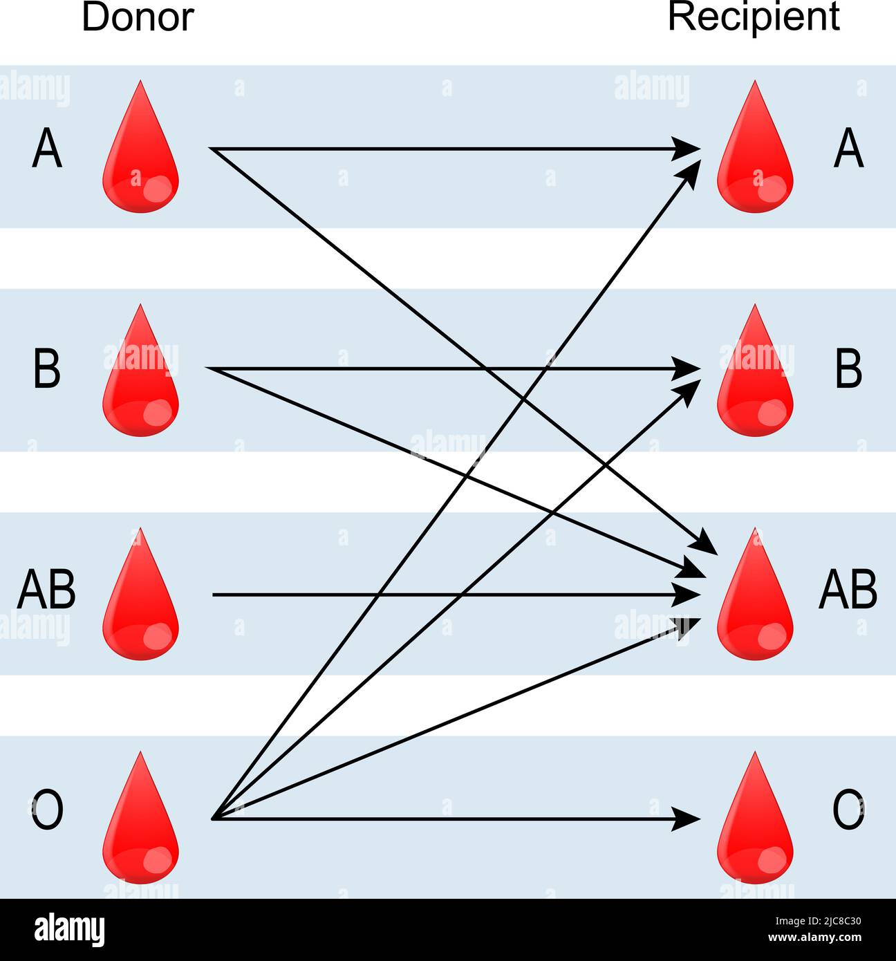 Receptor y donante. Tipos de sangre (A, B, AB, O). Existe una compatibilidad específica entre Receptor y donante. Tipos de sangre (A, B, AB, O). Existe una compatibilidad específica entre
