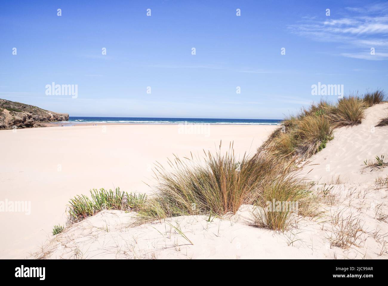 Pastos que crecen en dunas de arena a lo largo de la hermosa playa Praia da Amoreira - Algarve, Portugal Foto de stock