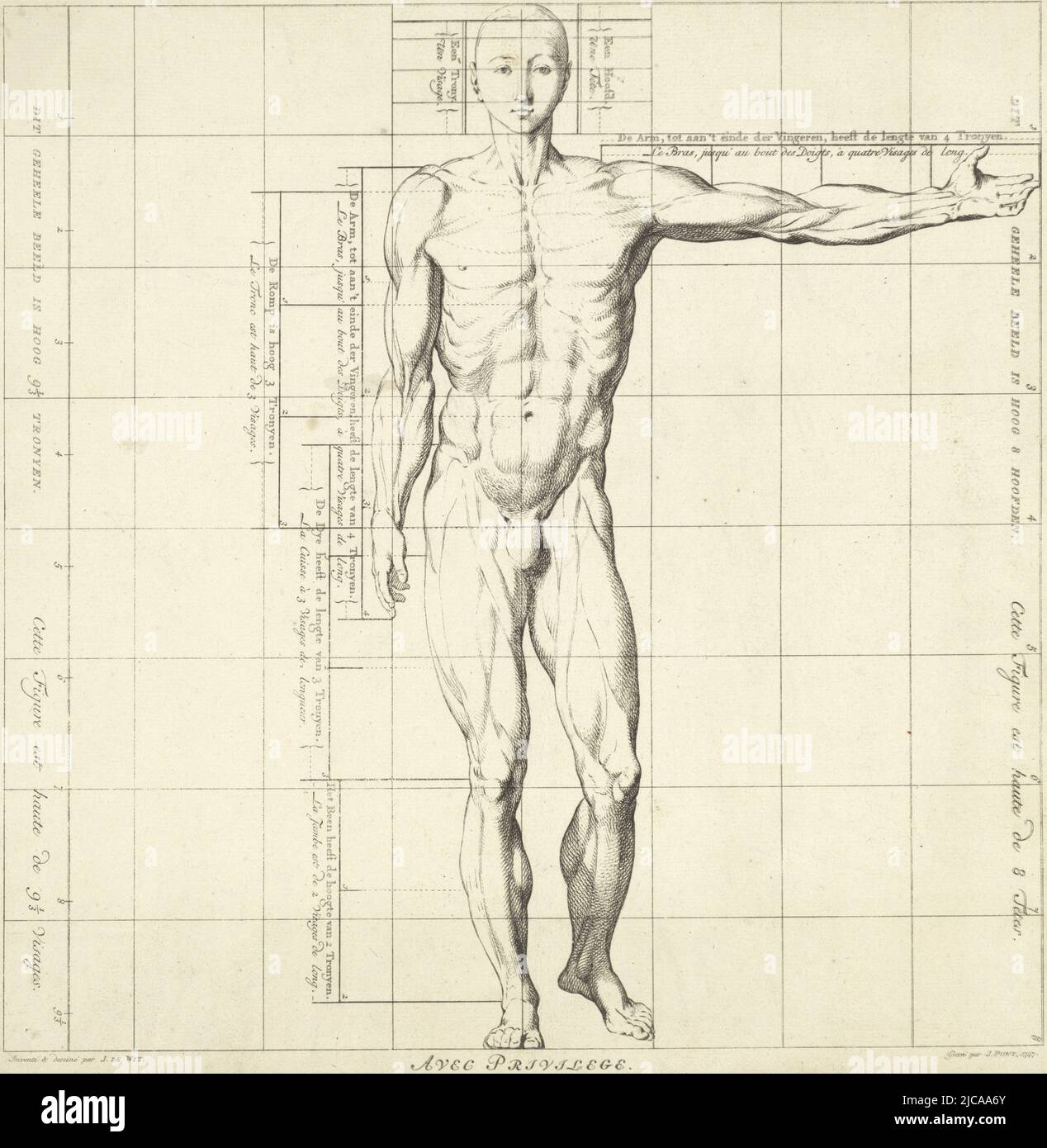 Vista frontal, con un brazo extendido, estudio de proporción del cuerpo de  un hombre Dibujo Libro de las proporciones del cuerpo humano Proporciones  du Corps Humain , fabricante de impresión: Jan Punt, (