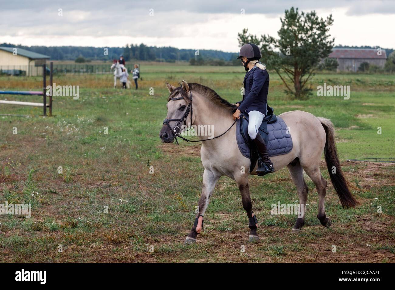 Proceso de formación. Joven adolescente montando caballo gris trotando en la arena de la hierba practicando en la escuela ecuestre. Color al aire libre horizontal verano Foto de stock