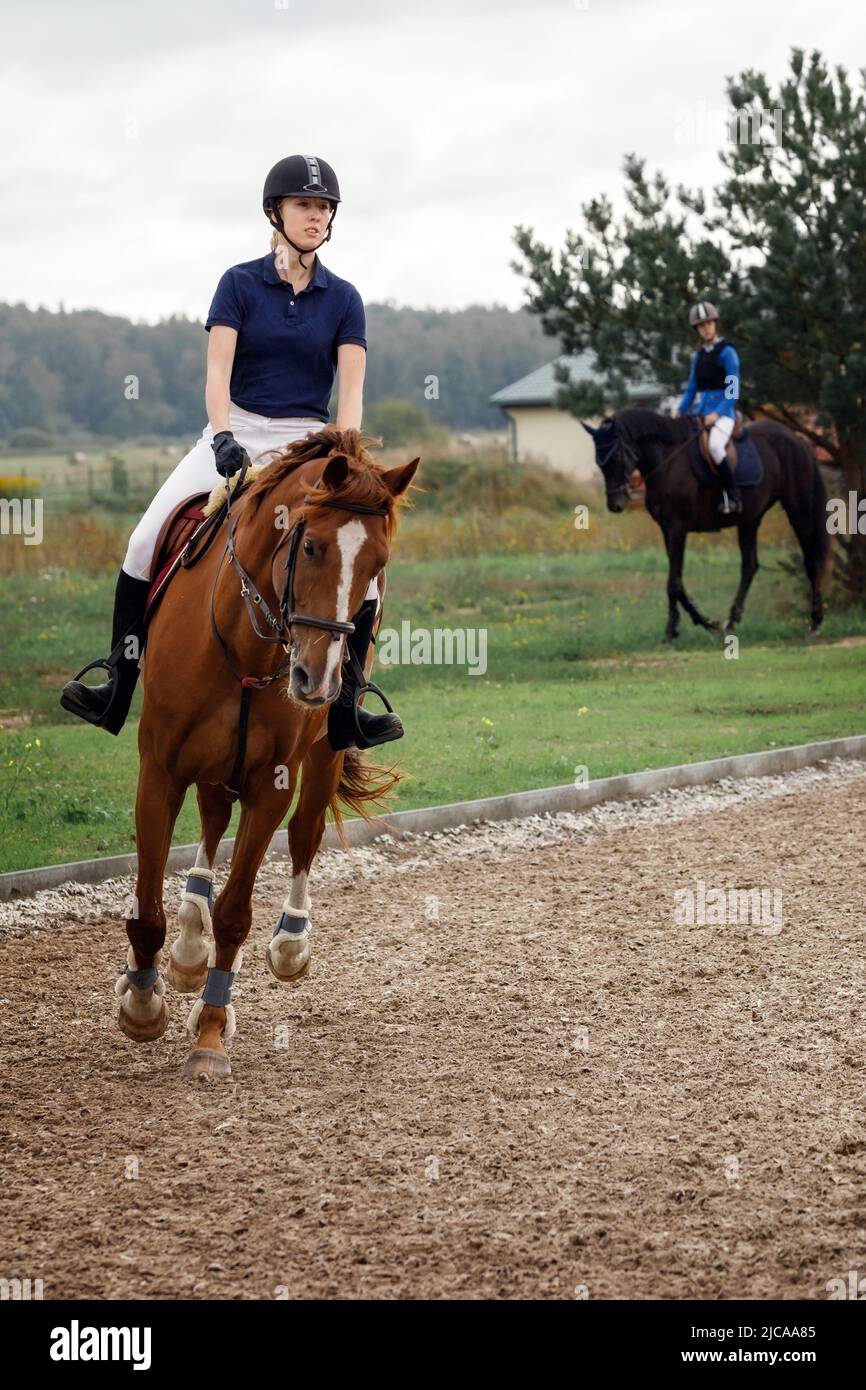 Joven chica bonita montando a caballo. Detalles ecuestres. Caballo deportivo y jinete. Foto de stock