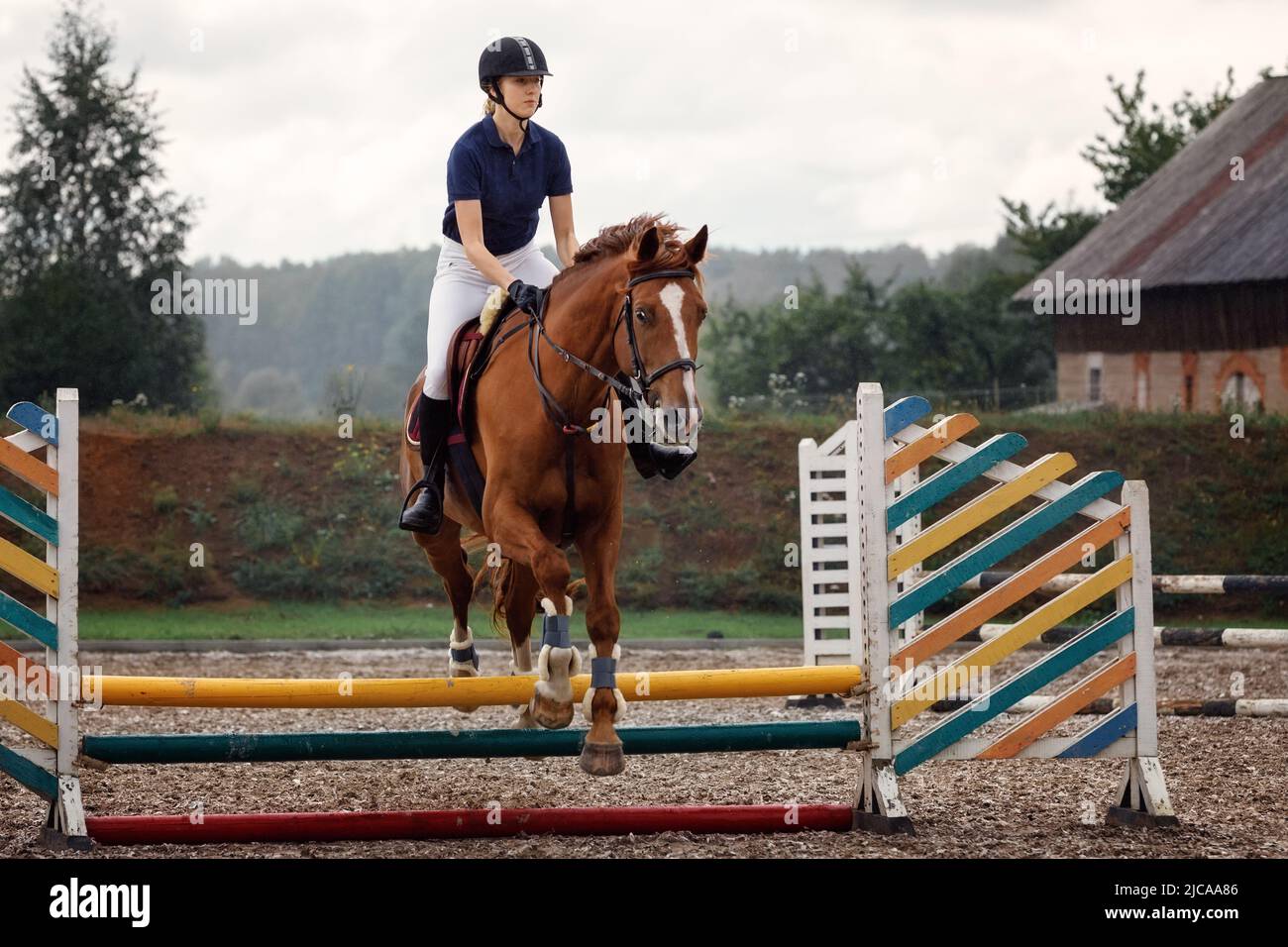 Puente ecuestre - Joven chica saltando con caballo de cereza que completando un salto. Foto de stock