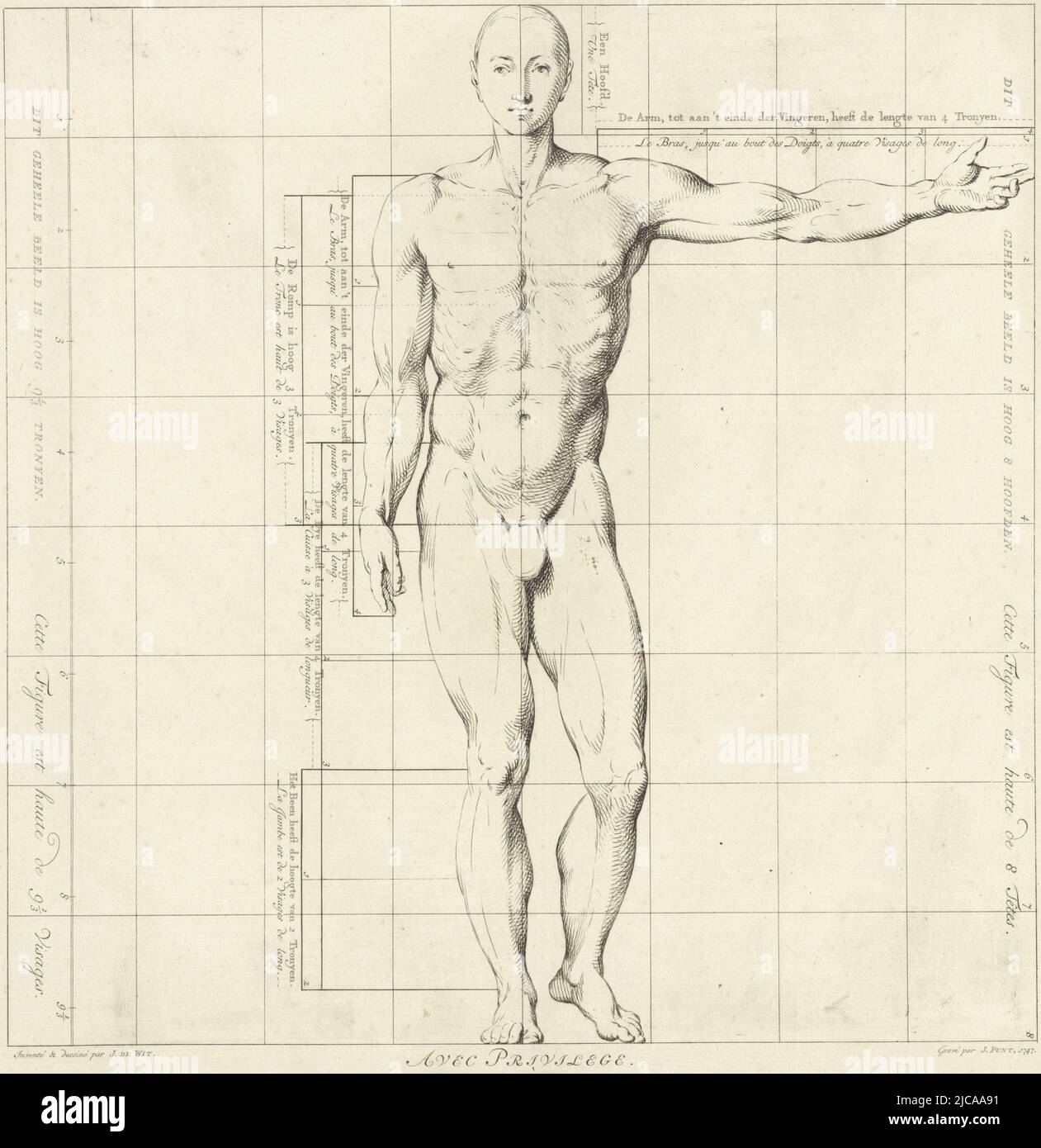 Vista frontal, con un brazo extendido, estudio de proporción del cuerpo de  un hombre Dibujo Libro de las proporciones del cuerpo humano Proporciones  du Corps Humain , fabricante de impresión: Jan Punt, (