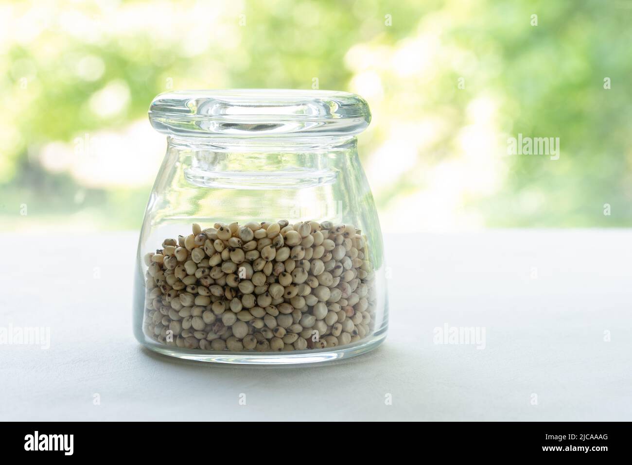 Las semillas de sorgo Foto de stock