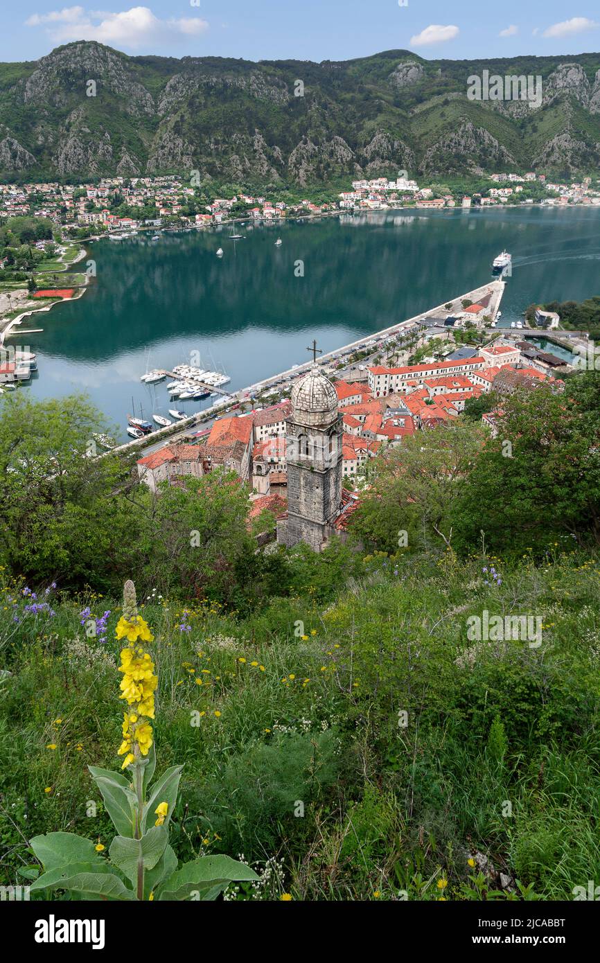 Vistas al casco antiguo de Kotor y a la bahía de Kotor en el mar Adriático en Montenegro Foto de stock