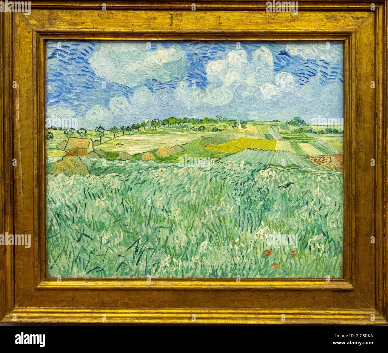 Vincent van Gogh, Plain cerca de Auvers, pintado en 1890, Neue Pinakothek, Munich Foto de stock