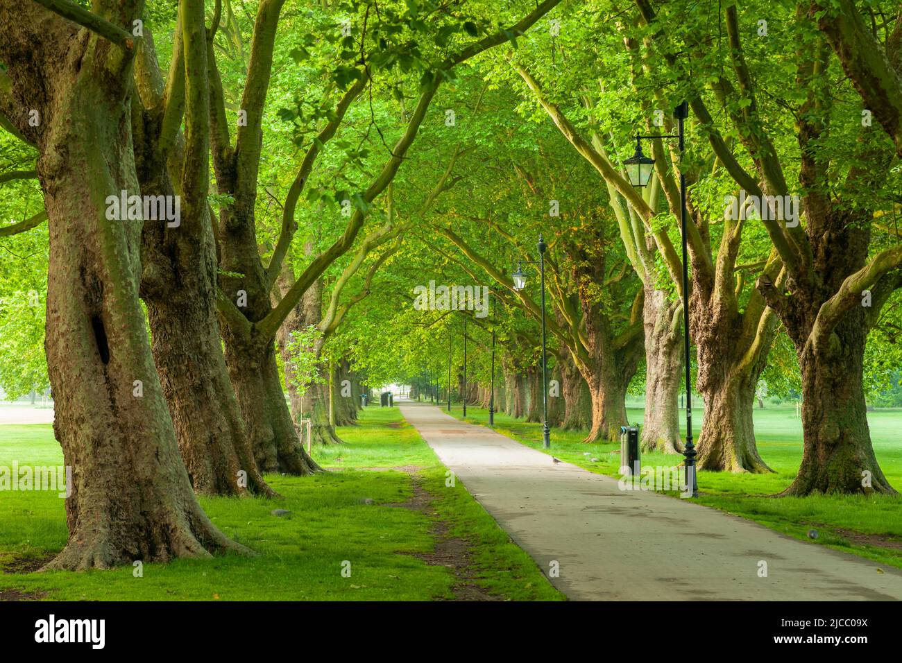 Mañana de primavera en Jesus Green en Cambridge, Inglaterra. Foto de stock