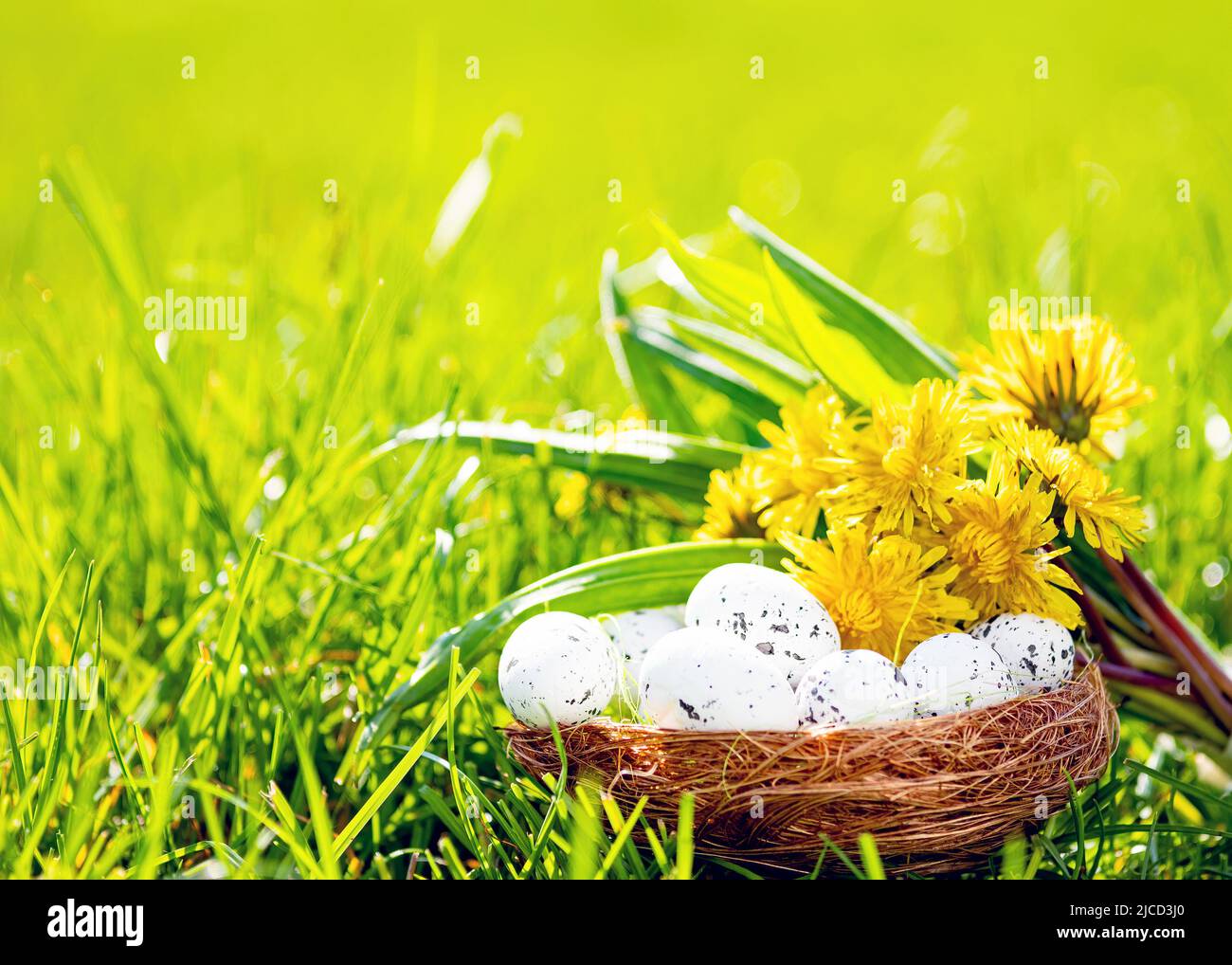 Fondo de Pascua con huevos, hierba verde y dientes de león Foto de stock