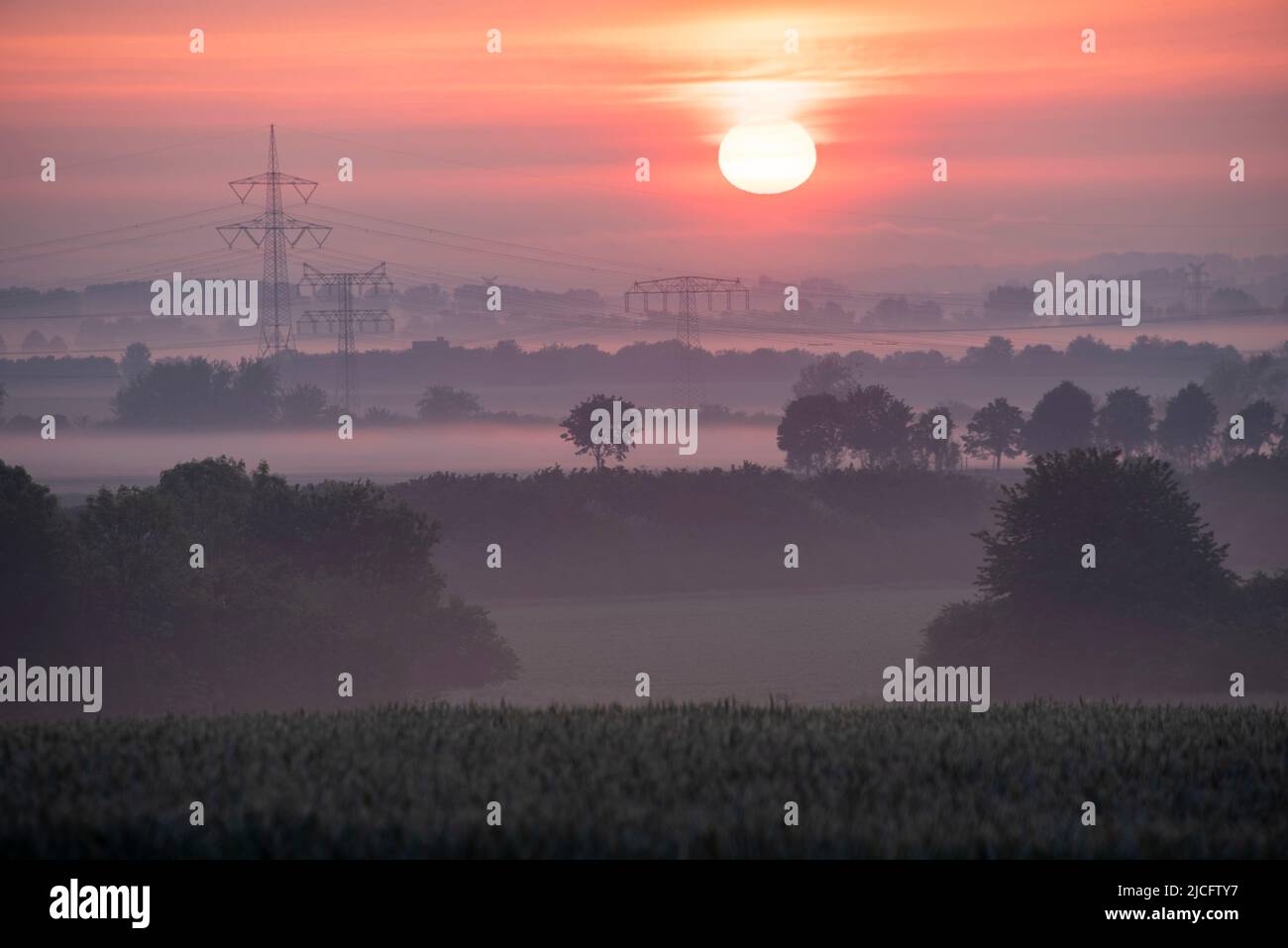 Amanecer, niebla matutina, postes de poder, Magdeburger Börde, Irxleben, Sajonia-Anhalt, Alemania Foto de stock