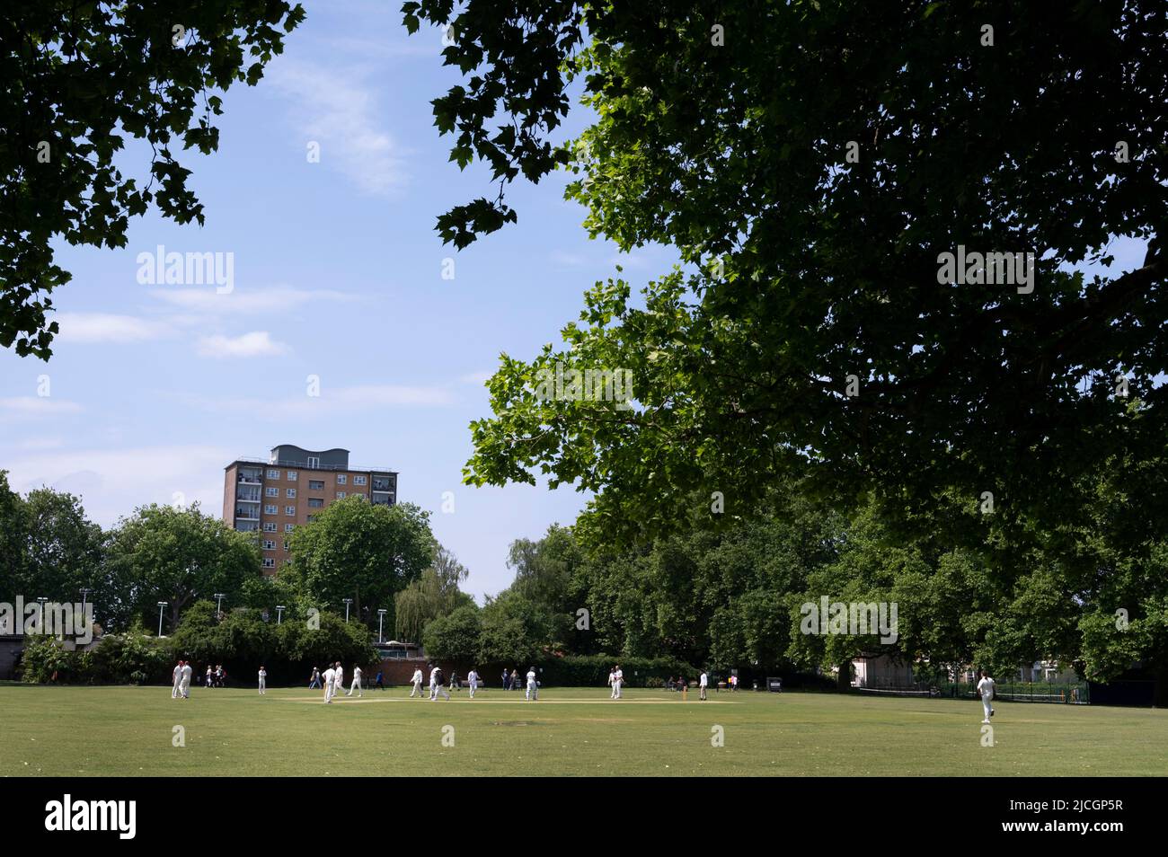 Londres, Hackney. Campos de Londres. Juego de críquet en curso. Foto de stock