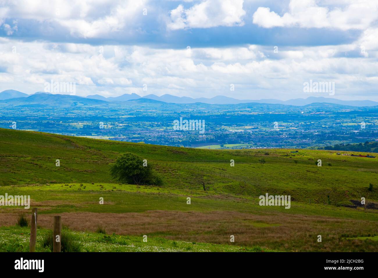 Paseo de montaña Divis en las montañas con vistas a Belfast, Irlanda del Norte Foto de stock