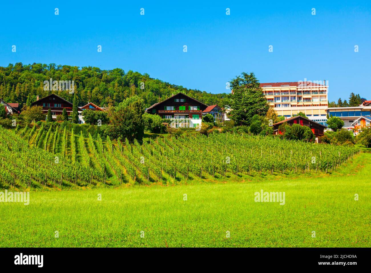 La belleza de la ciudad de Spiez viñedos en el cantón de Berna en Suiza Foto de stock
