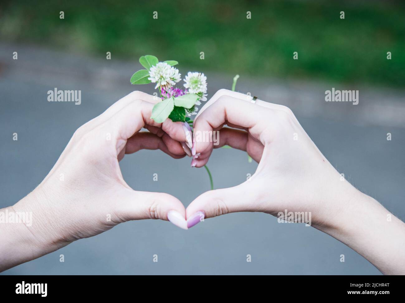 manos de mujeres sosteniendo una flor en forma de corazón Foto de stock