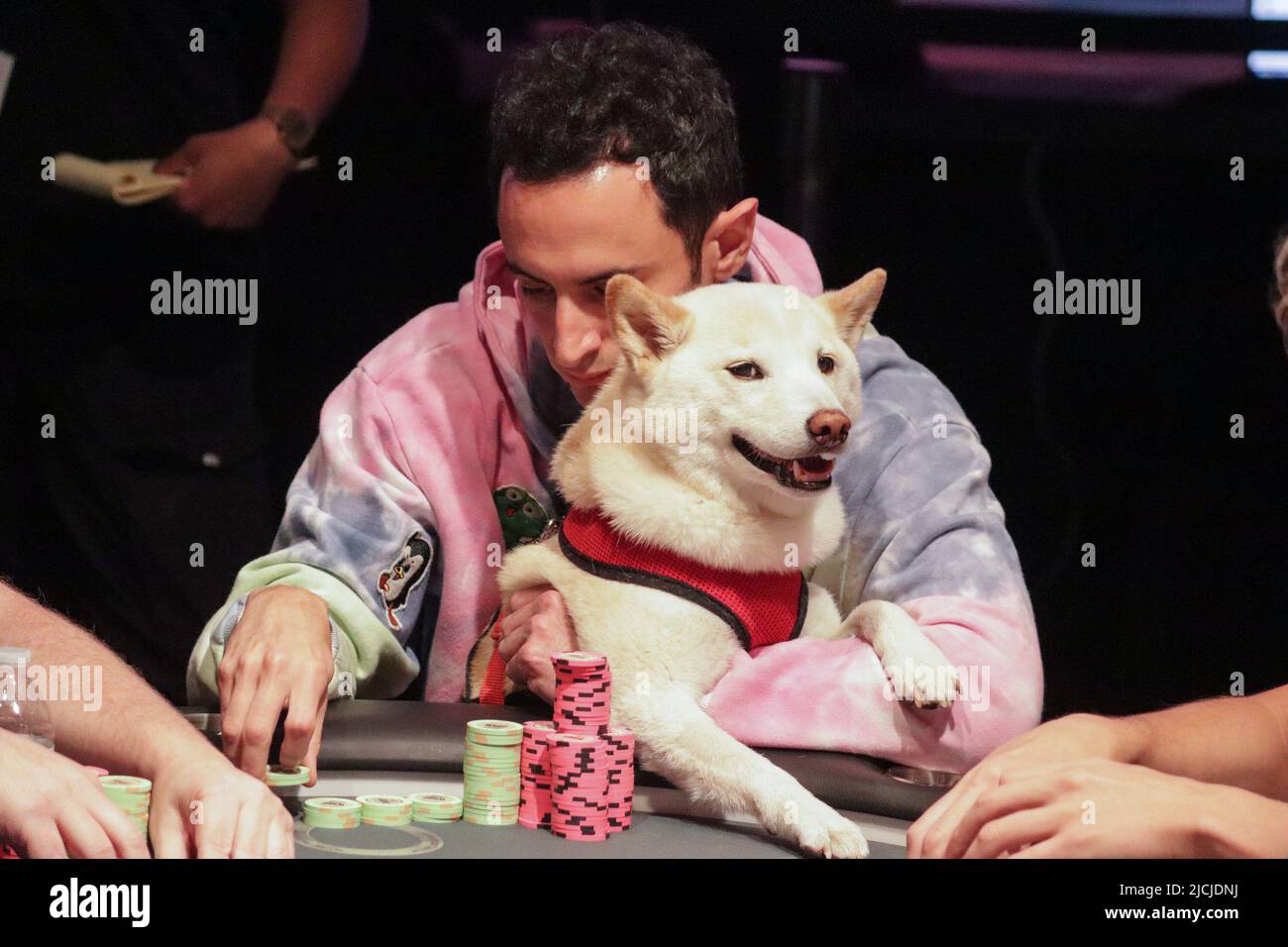 13 de junio de 2022: LAS VEGAS, NV - 13 DE JUNIO: El jugador de póquer  Gabriel Ramos y su perro durante la WSOP 2022: Evento #23: Hold'em con  límite de 6