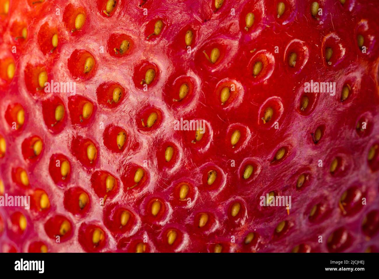 primer plano de una fresa madura roja con semillas doradas y una textura asombrosa Foto de stock