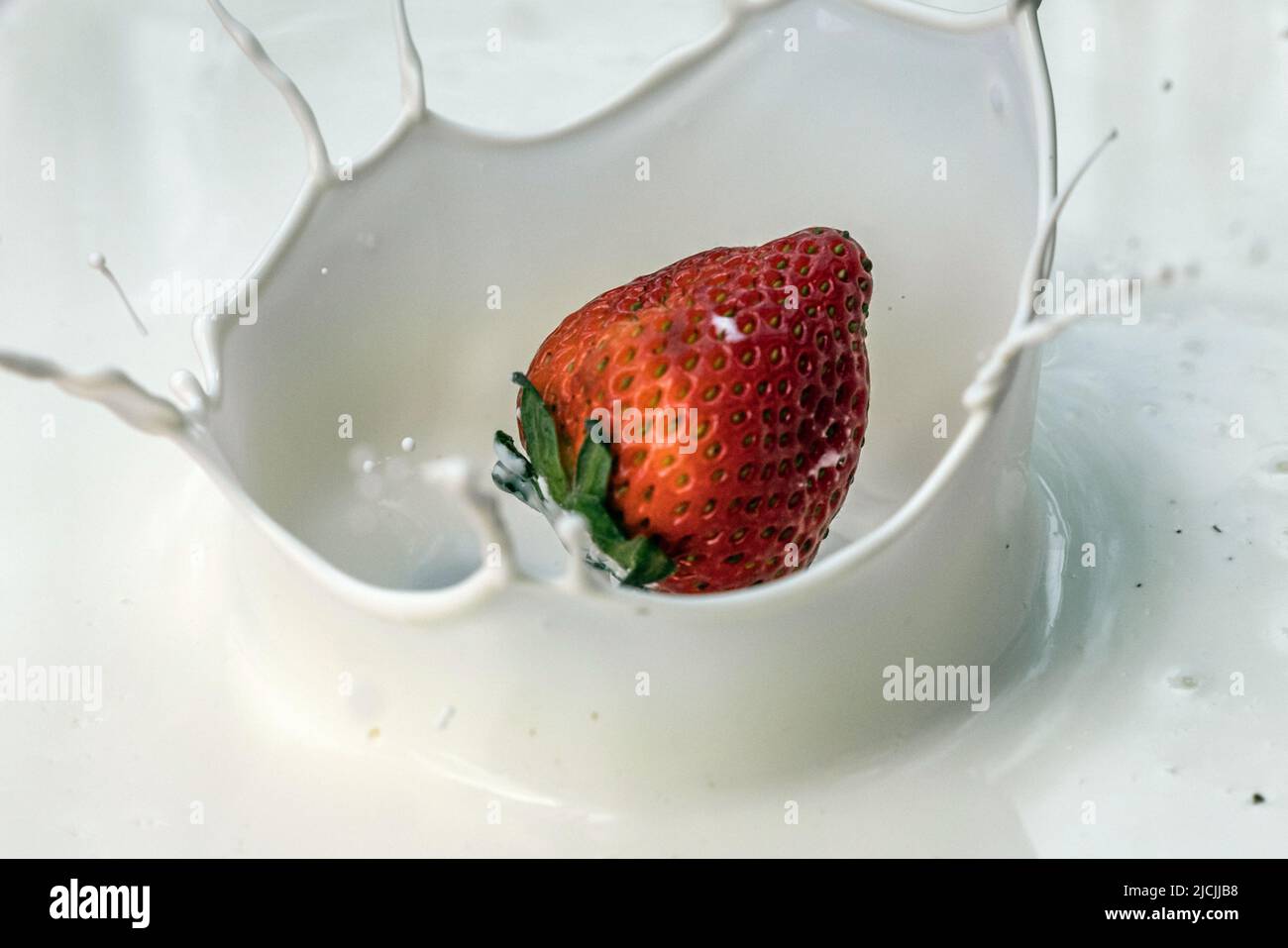 Imagen de acción de una fresa salpicando en un tazón de crema Foto de stock