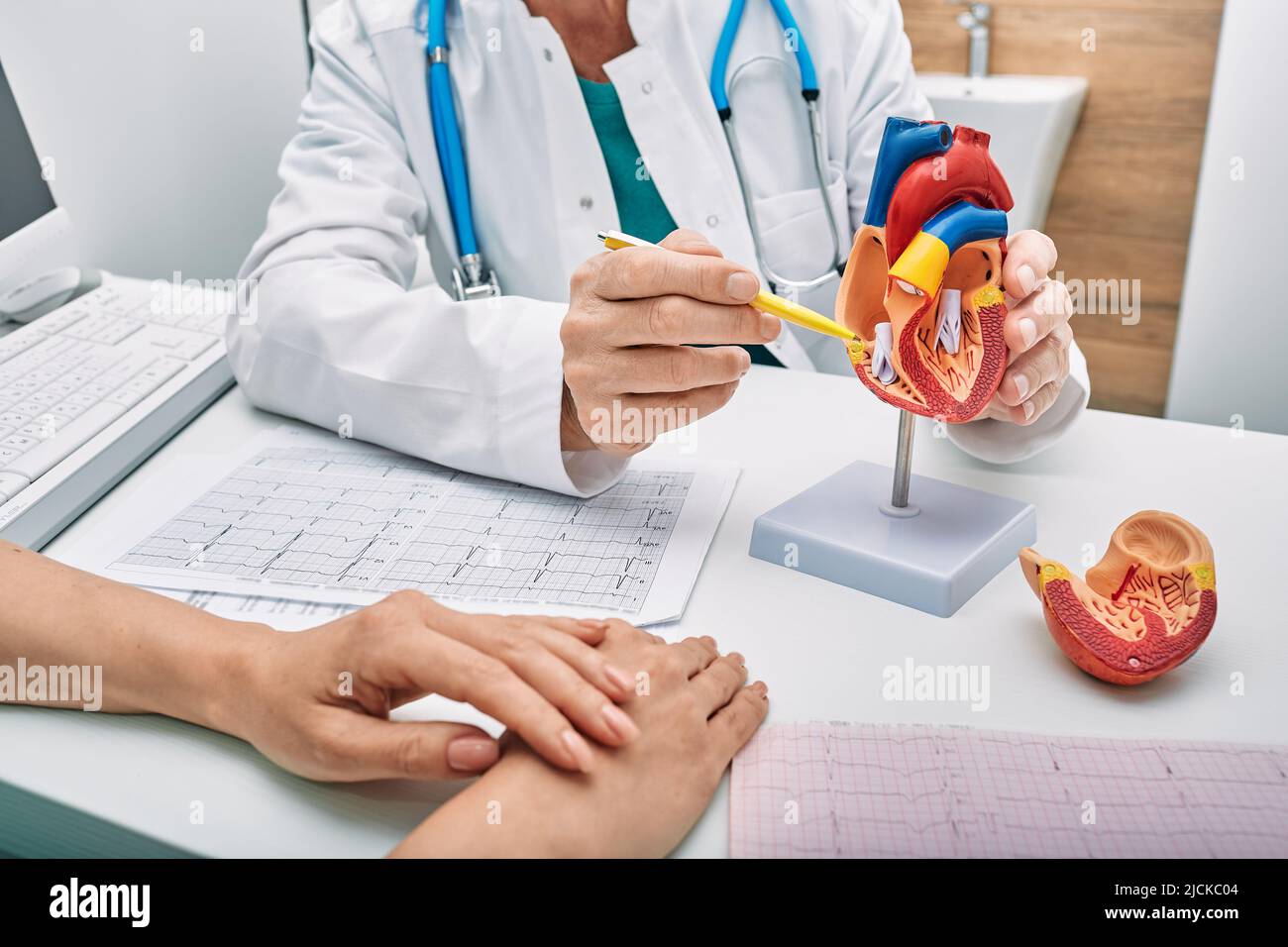 Consulta cardiológica, tratamiento de cardiopatía. Doctor cardiólogo mientras consulta mostrando modelo anatómico del corazón humano Foto de stock