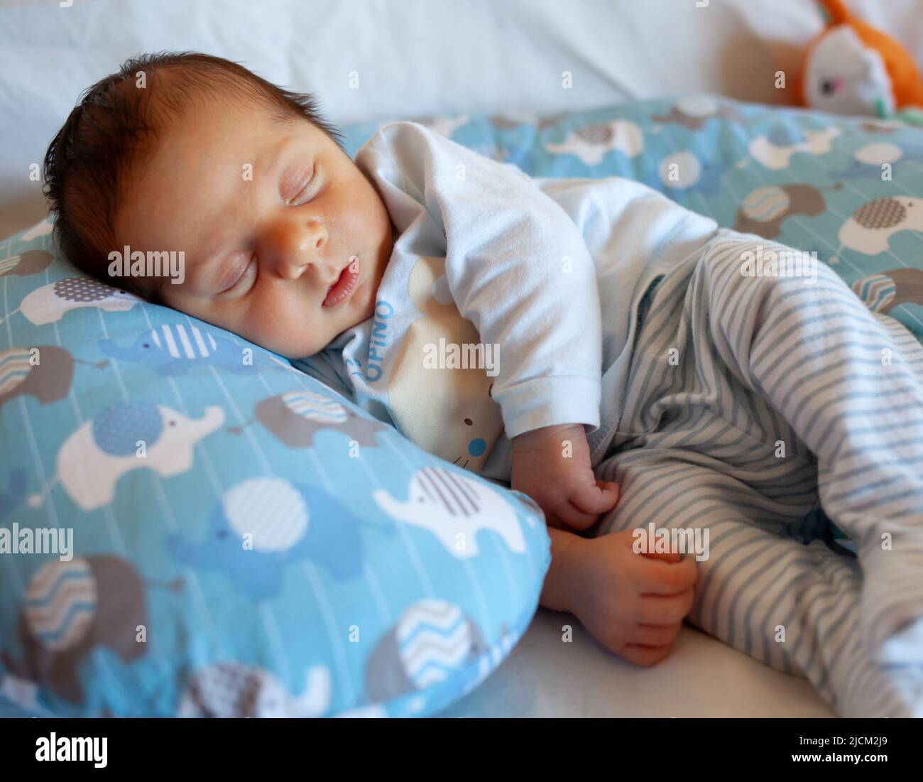 Un bebé de unos días duerme sobre una almohada redonda. La fase del sueño es muy importante en la infancia. Foto de stock