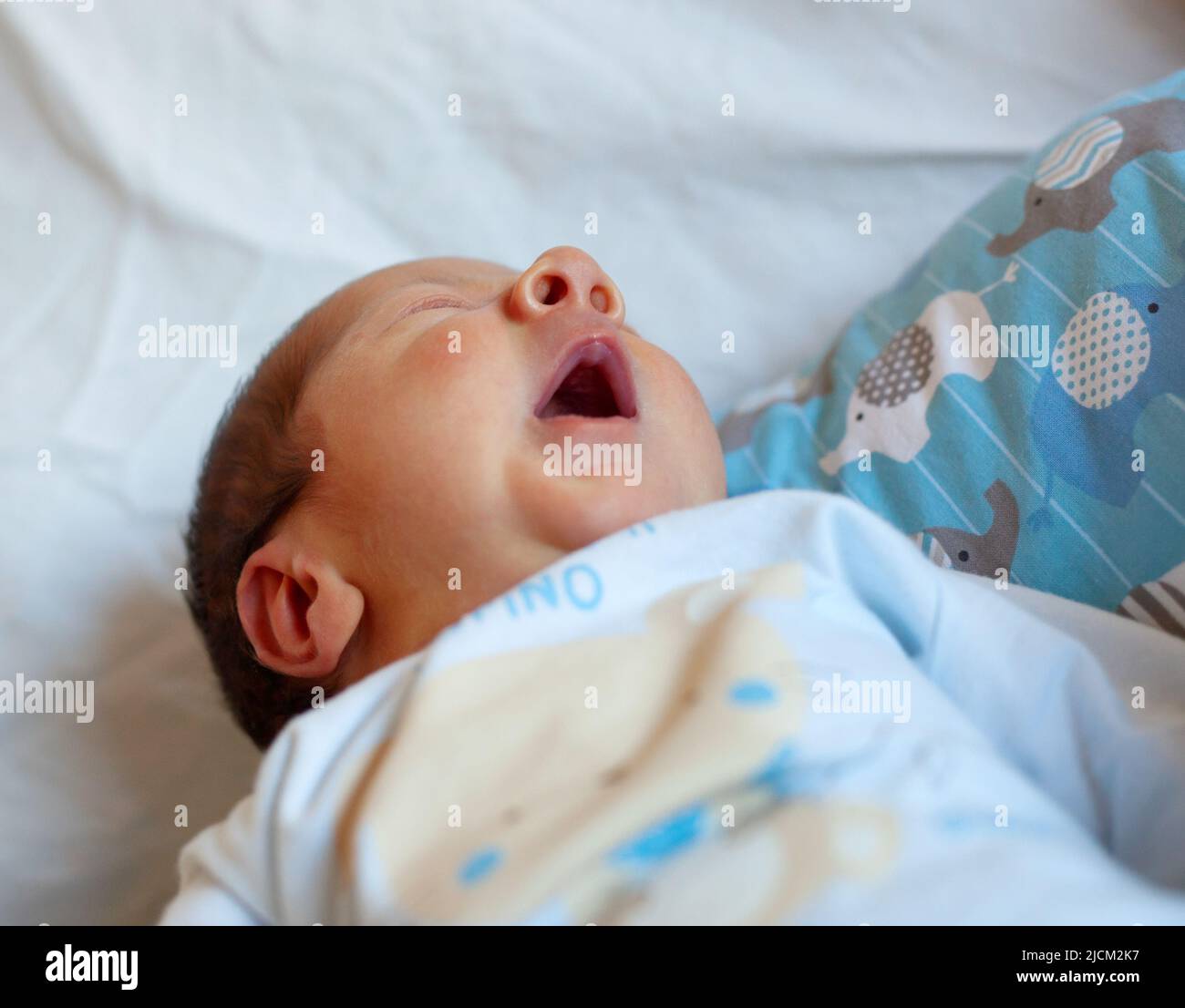 Detalle de la boca de un recién nacido al bostezar. Enfoque selectivo en la boca para acentuar el concepto del significado del bostezo. Foto de stock