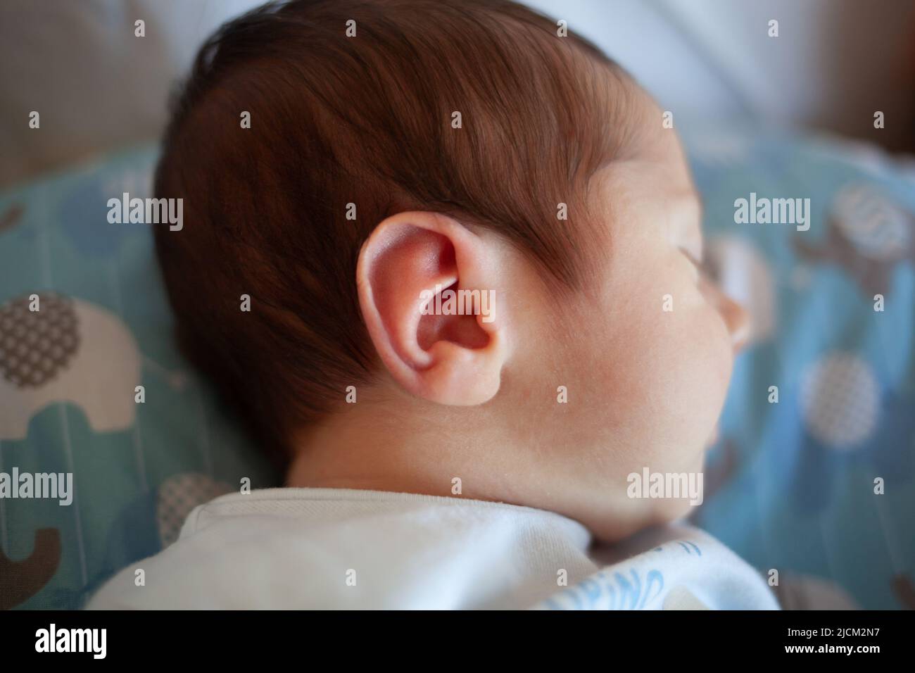 Detalle del oído de un recién nacido. Concepto médico sobre el aparato auditivo. Foto de stock