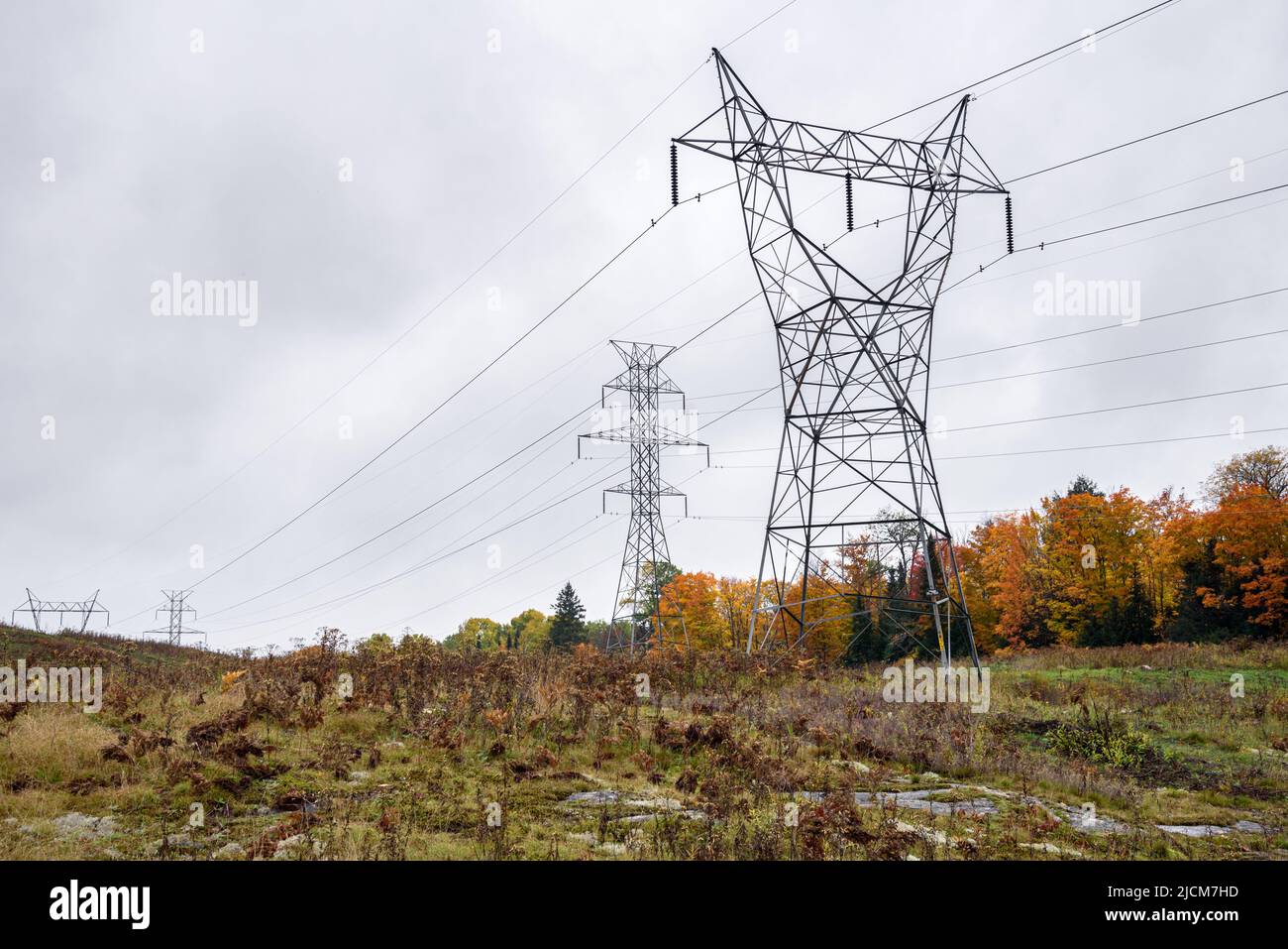 Pilones de electricidad en el campo en un día nublado de otoño Foto de stock