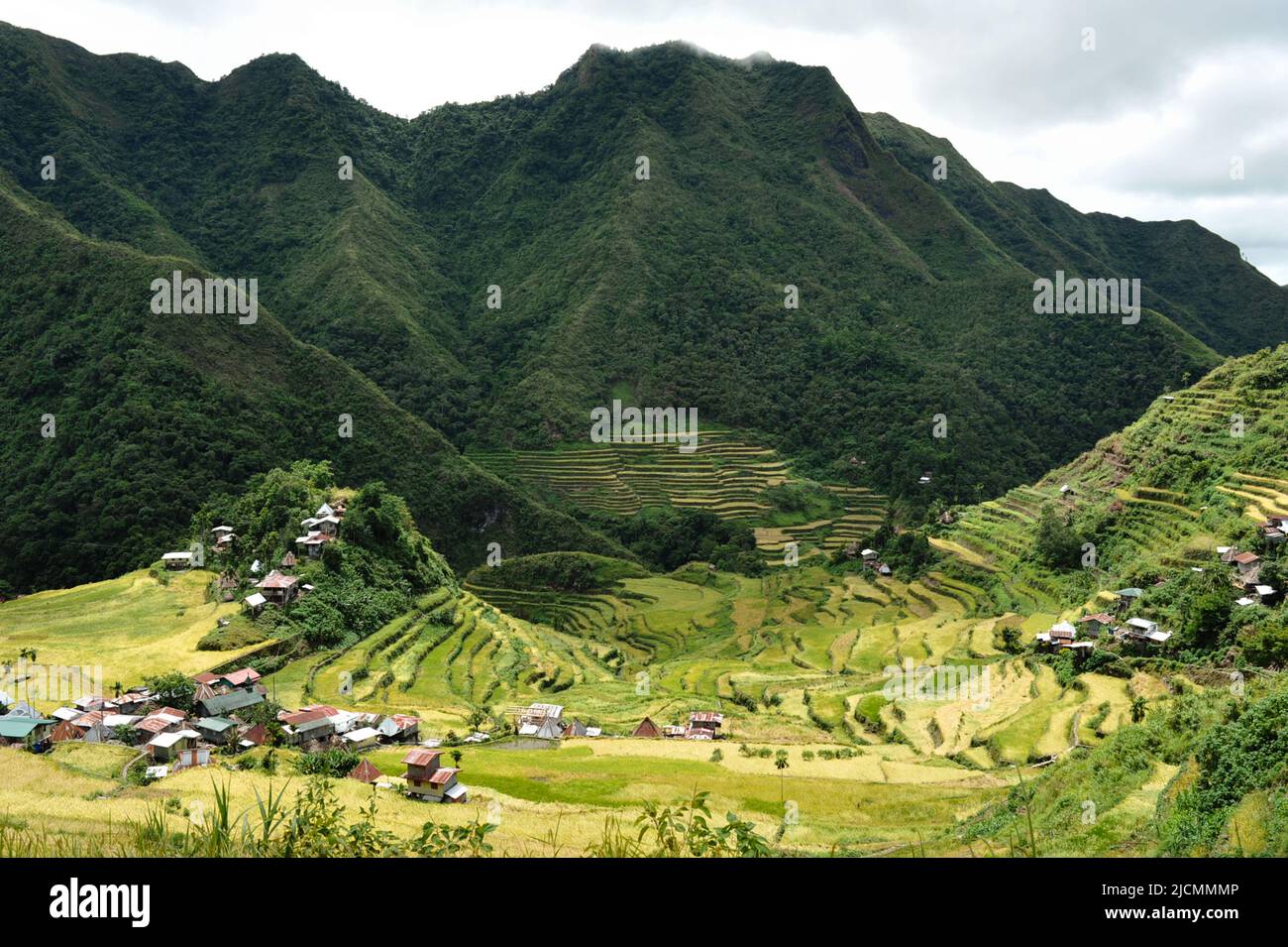 Provincia de las Montañas, Filipinas: Majestuoso paisaje agrícola del antiguo anfiteatro Banaue Rice Terraces. Apodada Octava Maravilla del Mundo. Foto de stock
