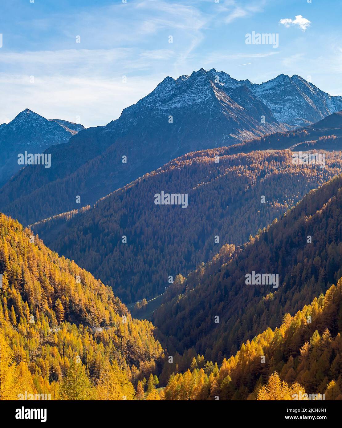 Paisaje aéreo con pendientes de montaña cubiertas de bosque, picos nevados en el fondo en el soleado día de otoño, Alpes, Austria Foto de stock