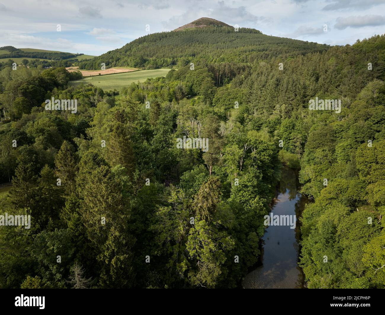 Vista aérea de la Colina Negra y el Líder del Río cerca de Earlston en las fronteras escocesas Foto de stock