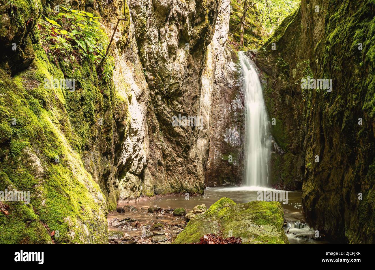 cascada bedina en el bosque, valle de cerna, rumania Foto de stock
