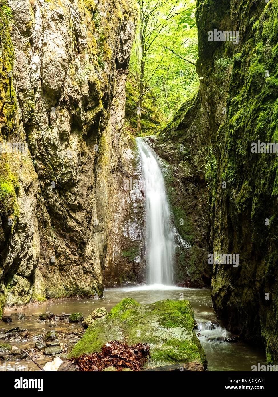 cascada bedina en el bosque, valle de cerna, rumania Foto de stock