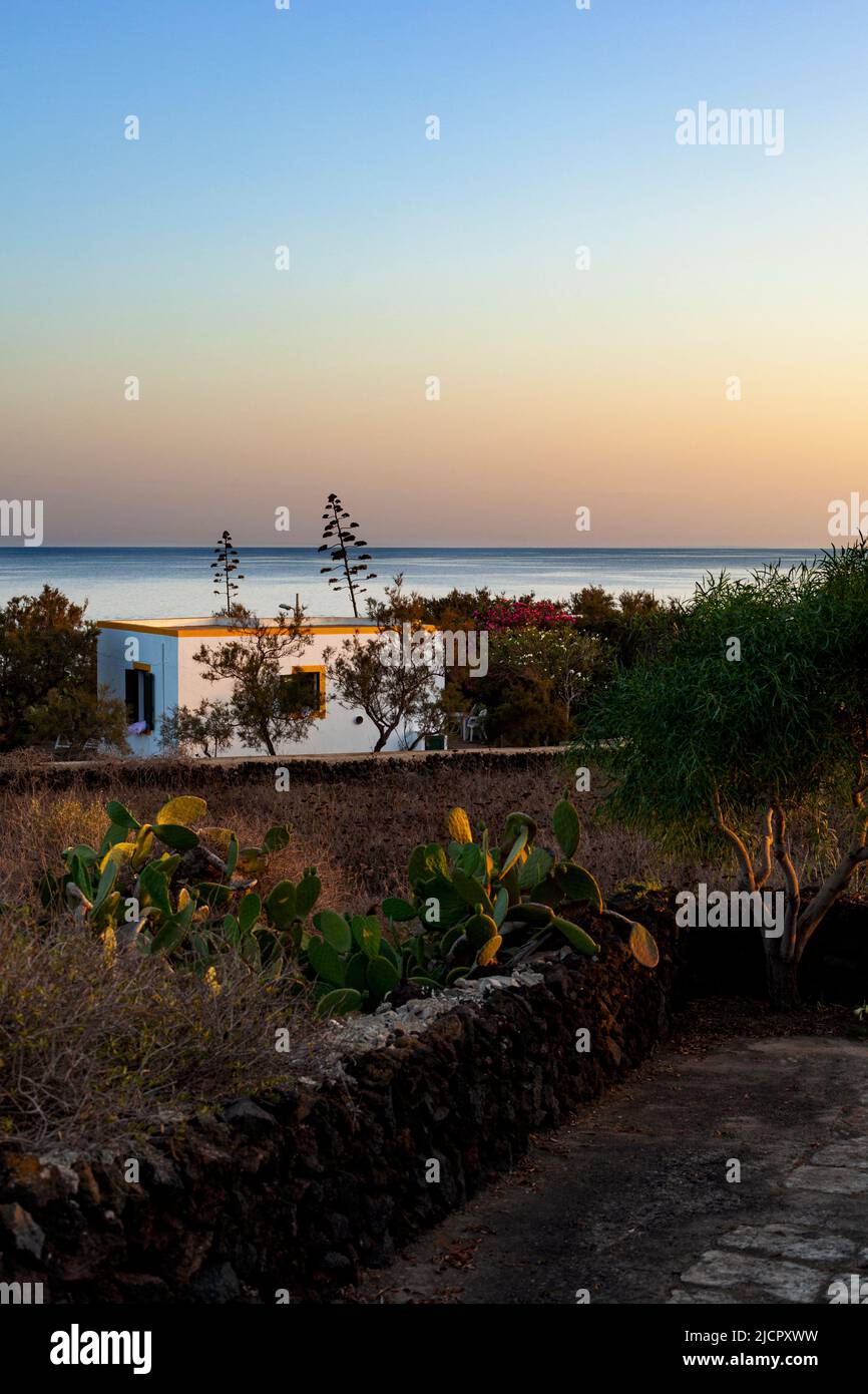 Vista de la típica casa de Linosa rodeada de vegetación mediterránea. Linosa es una de las islas Pelagie en el Canal Sicilia del Mediterráneo Foto de stock