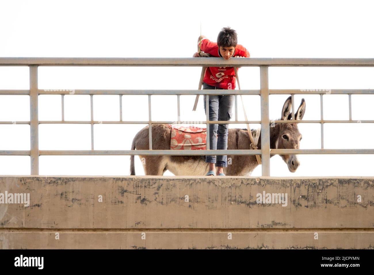 Niño joven con una camiseta roja sosteniendo un burro atado mientras se inclina sobre un pasamanos de puente alto para mirar hacia abajo directamente en la cámara Foto de stock
