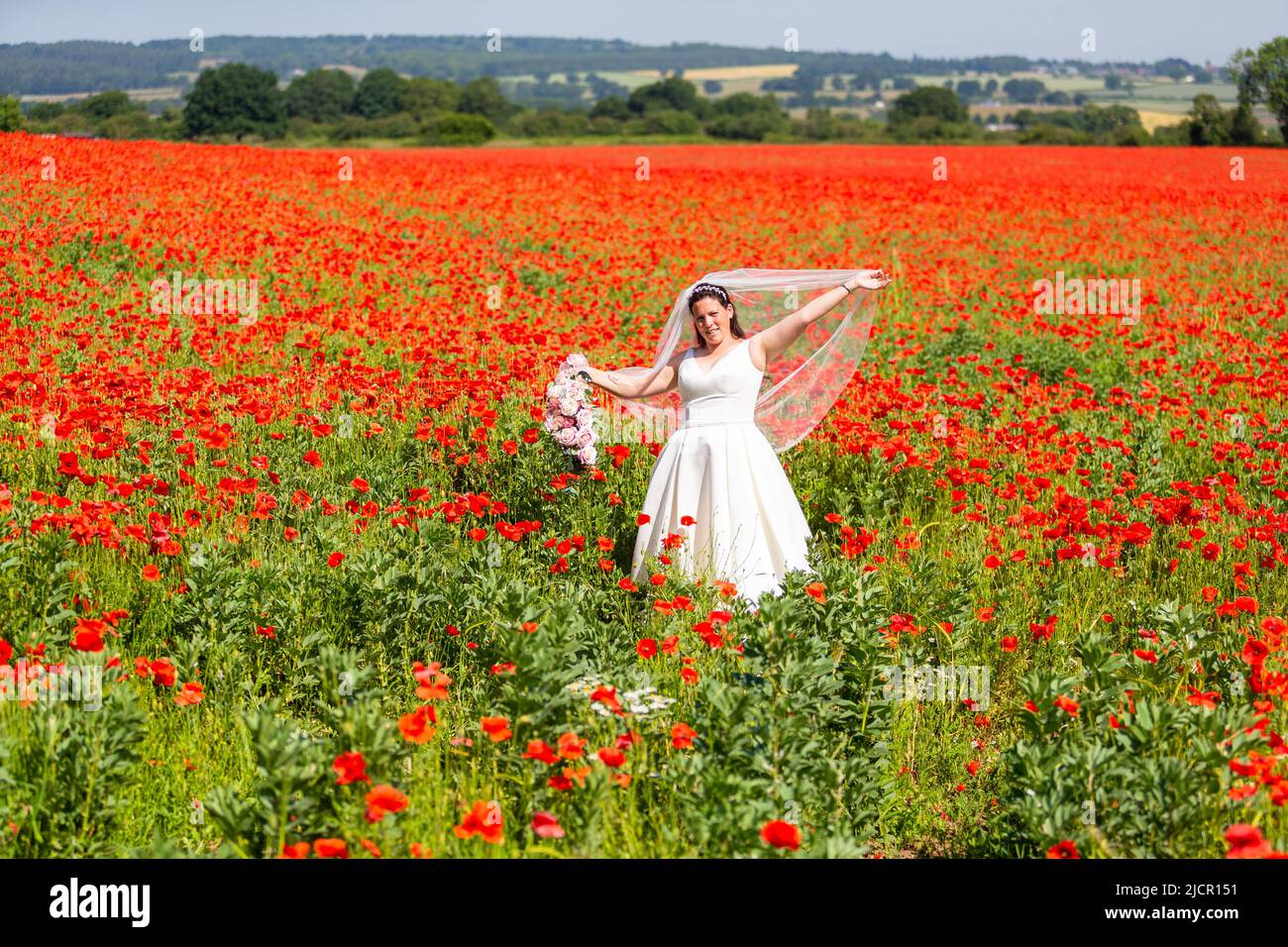 Novia en vestido blanco de la boda en un campo de la amapola, Reino Unido 2022 Foto de stock
