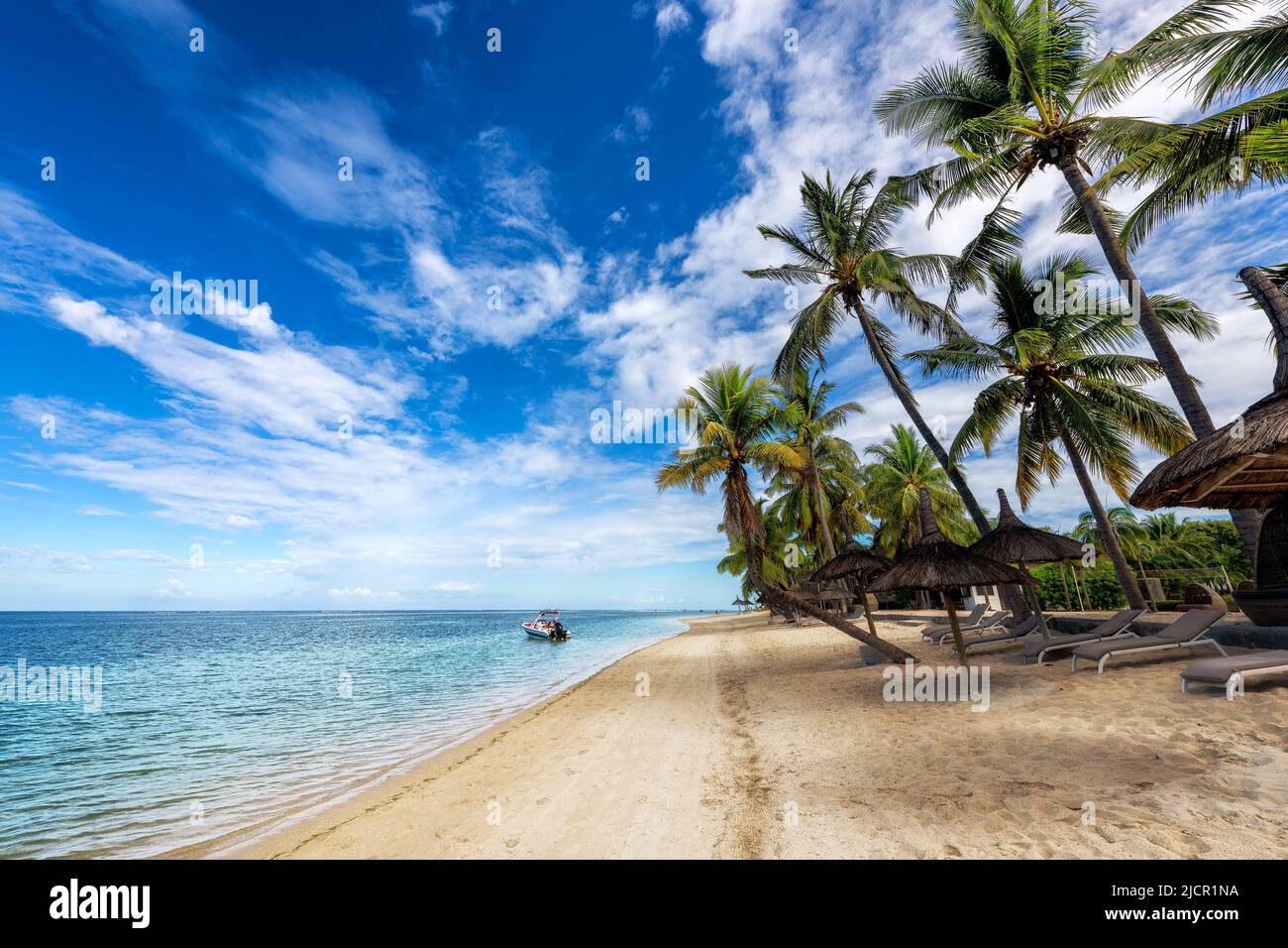 Hermosa playa con palmeras en un complejo tropical en la isla Paradise. Foto de stock