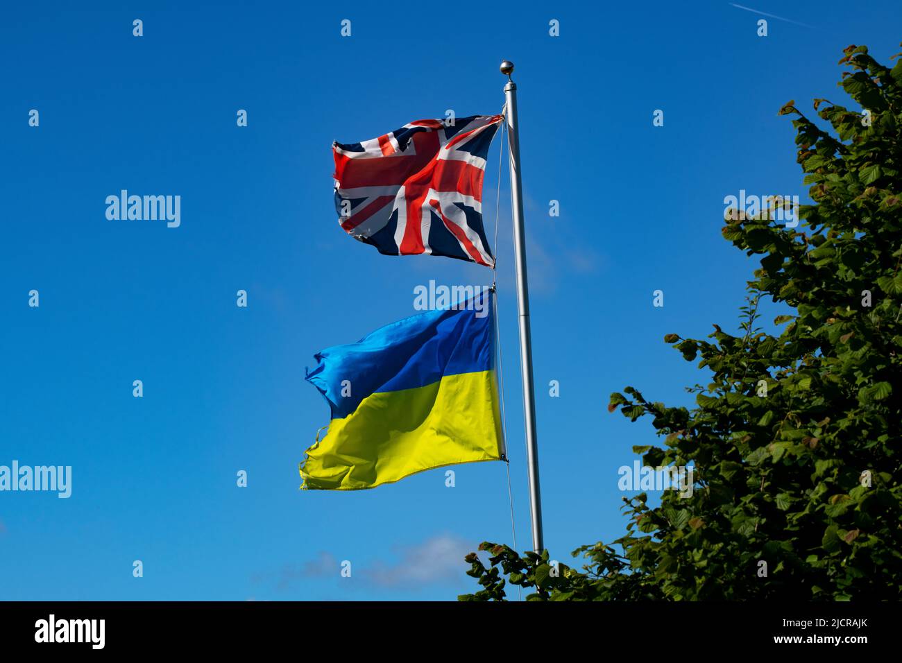 Union Jack y Ukranian Flag vuelan en una granja en Essex, Inglaterra, Reino Unido, el 2022 de junio Foto de stock