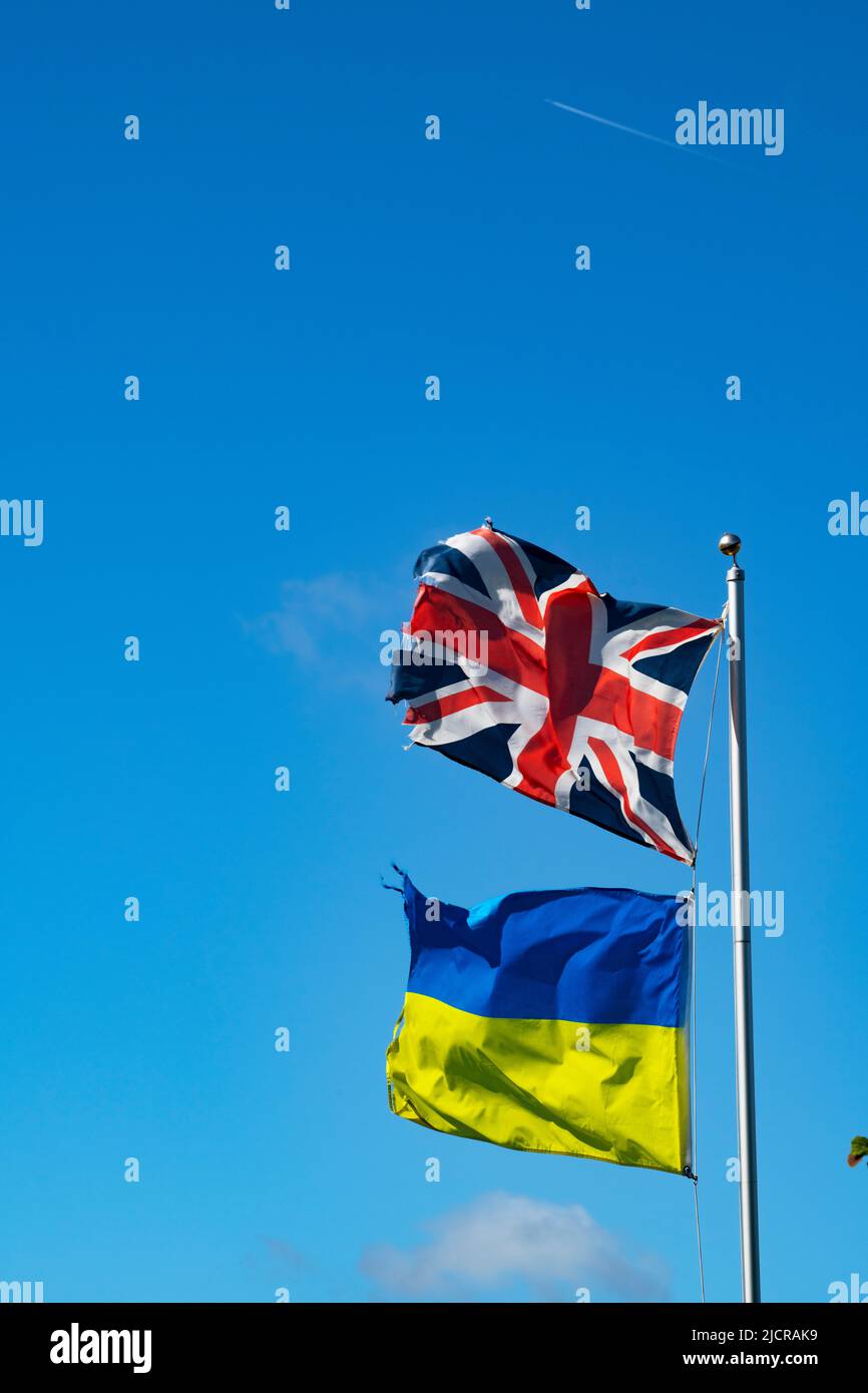 Union Jack y Ukranian Flag vuelan en una granja en Essex, Inglaterra, Reino Unido, el 2022 de junio Foto de stock