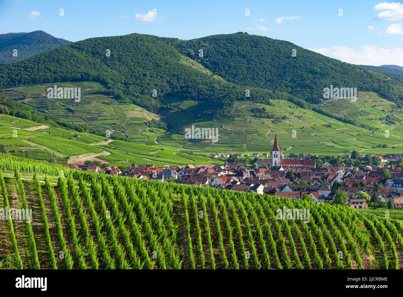 Aldea de Ammerschwihr rodeado por viñedos de Grand Cru a lo largo de la ruta del vino de Alsacia Haut-Rhin France Foto de stock