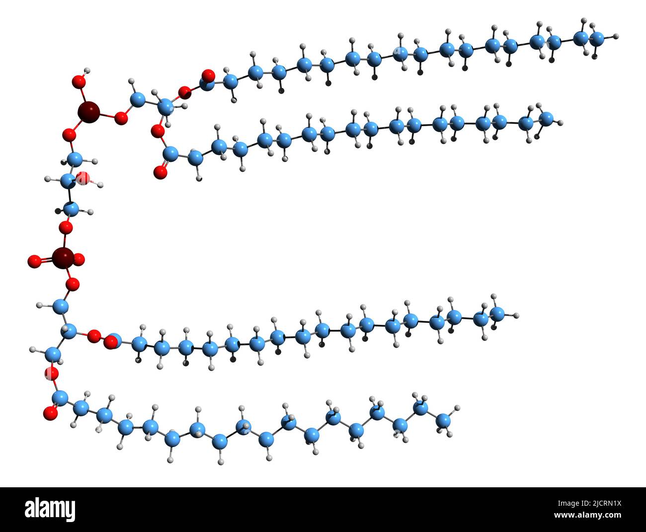 Estructura de fosfolípidos Imágenes recortadas de stock Alamy Estructura de fosfolípidos Imágenes recortadas de stock Alamy