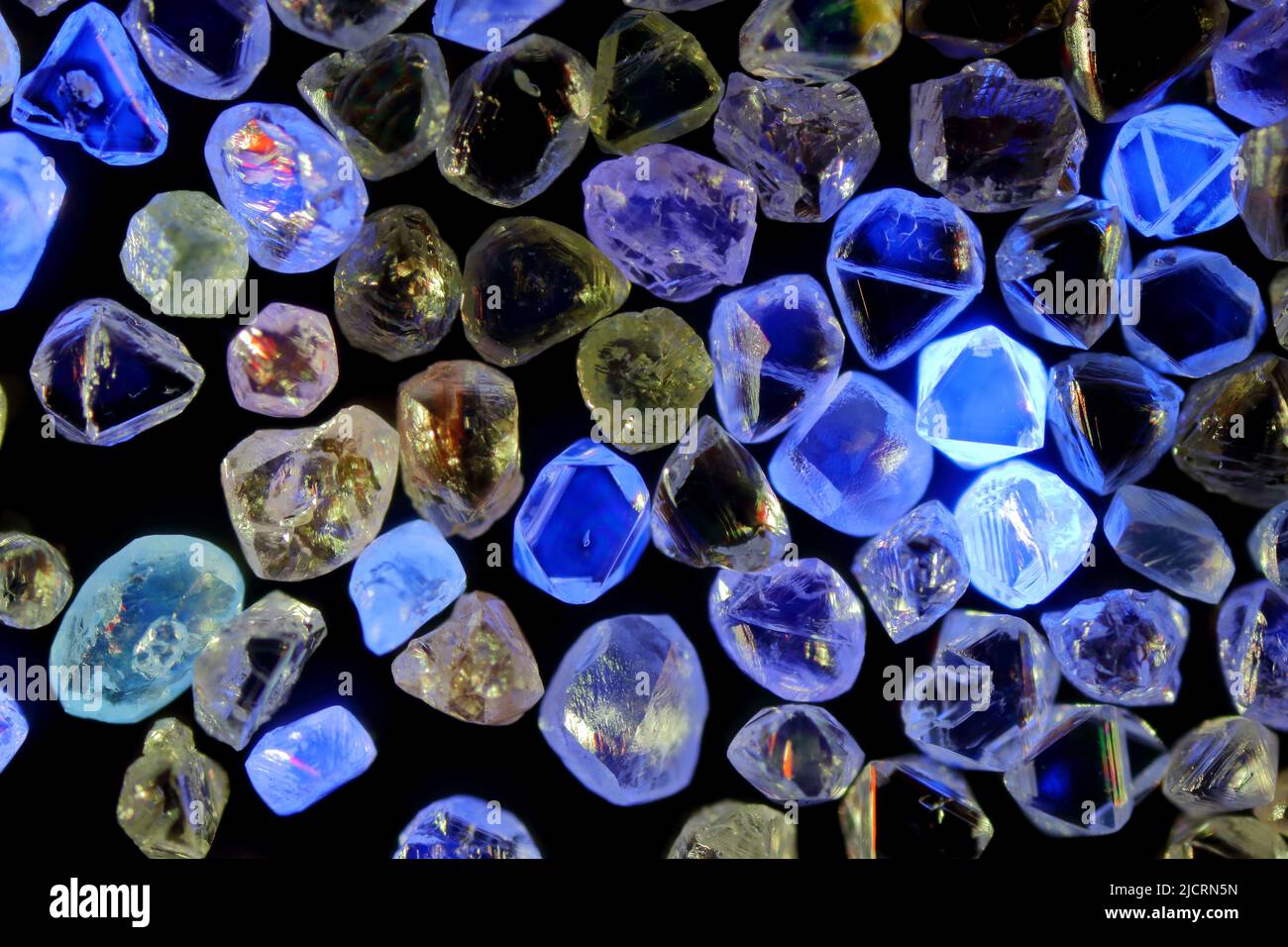 Hermoso resplandor fluorescente de diamantes naturales en bruto bajo luz UV Foto de stock
