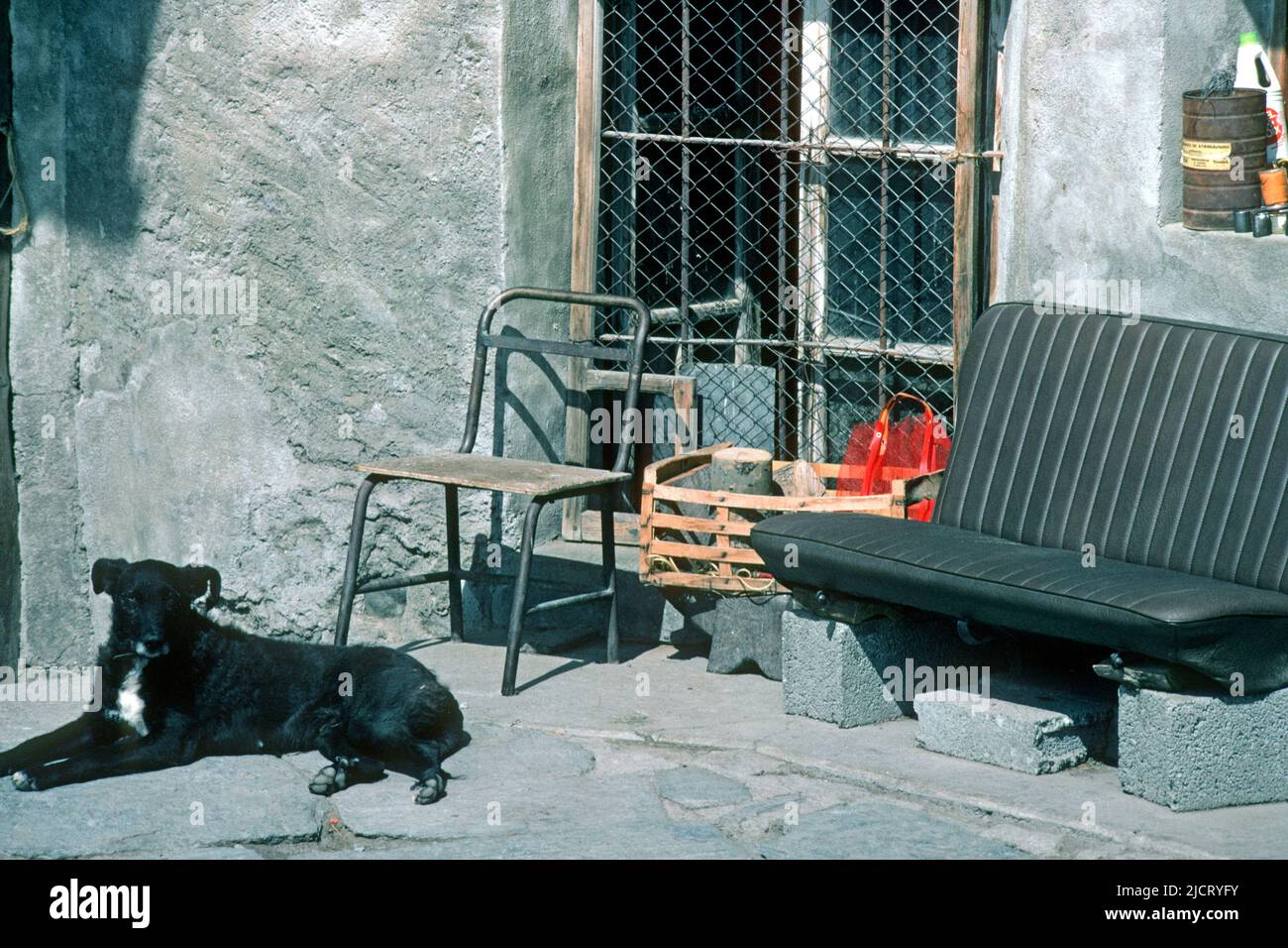 Perro sentado fuera de casa en 1980, Le Casset, Hautes-Alpes, Francia Foto de stock