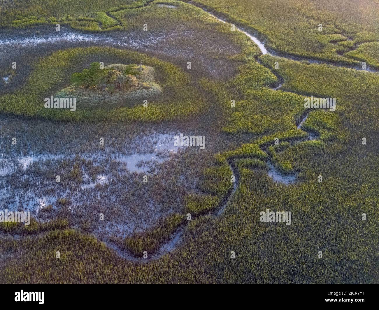 Marisma de sal en Dewees Island, SC Foto de stock