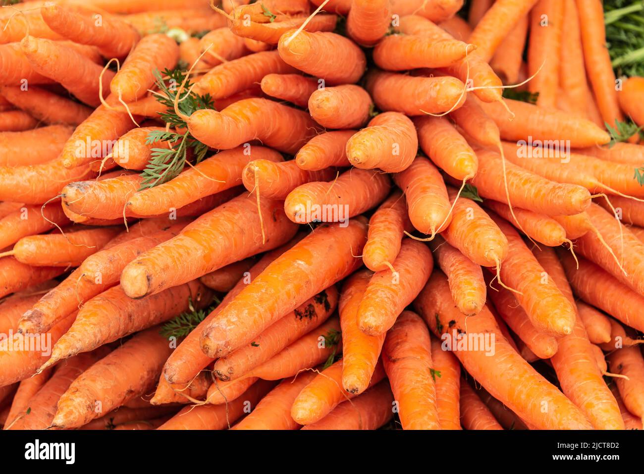primer plano de zanahorias frescas apiladas en un puesto de mercado Foto de stock