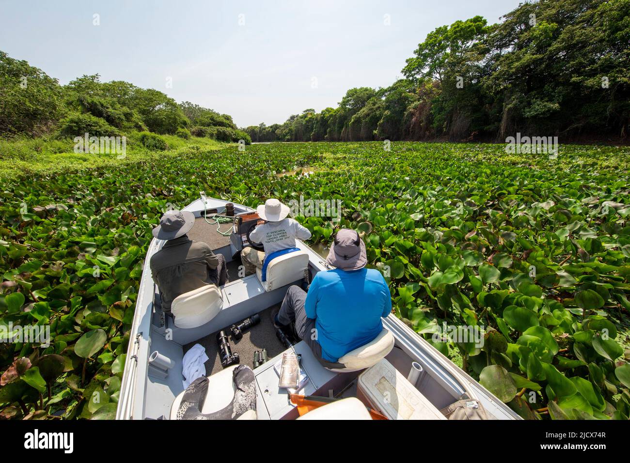 Barco rumbo a una densa zona de follaje en el Río Cuiaba, Mato Grosso, Pantanal, Brasil, Sudamérica Foto de stock