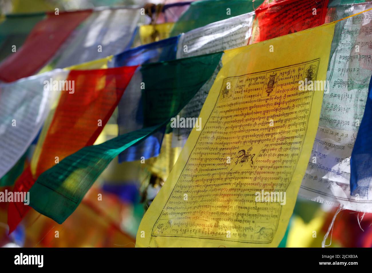 Bandera Tibetana de Oración por Fe, Paz, Sabiduría, Compasión y Fuerza, Monasterio de Pema Osel Ling, Dakshinkali, Katmandú, Nepal, Asia Foto de stock