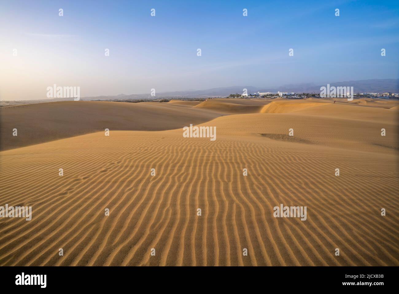 Vista de arenas y dunas a la deriva en Maspalomas, Gran Canaria, Islas Canarias, España, Atlántico, Europa Foto de stock