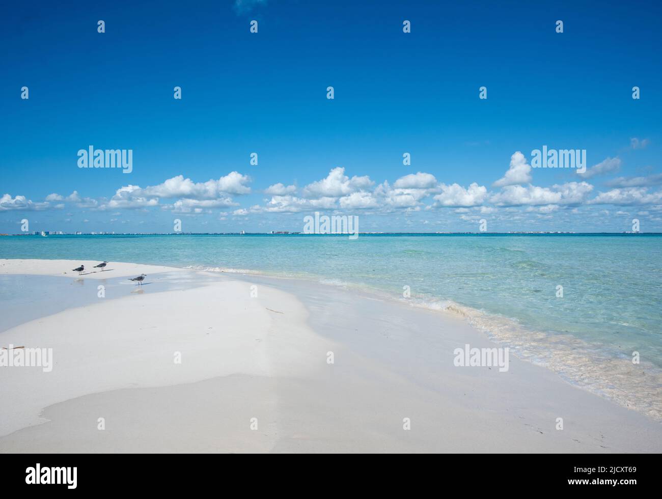 Una vista panorámica de una playa desierta en Isla Mujeres, con pájaros pequeños descansando en la arena. México Foto de stock